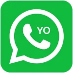 YoWhatsApp APK Download (v10.10) Latest Version 2025 1 YOWhatsApp APK Logo